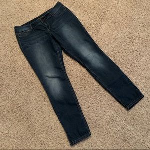 Maurices dark wash jegging, XL-R